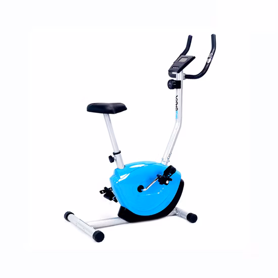 Home Fitness Equipment Recumbent/Exercise/Spinning/Magnetic/Upright Bike for Home Use