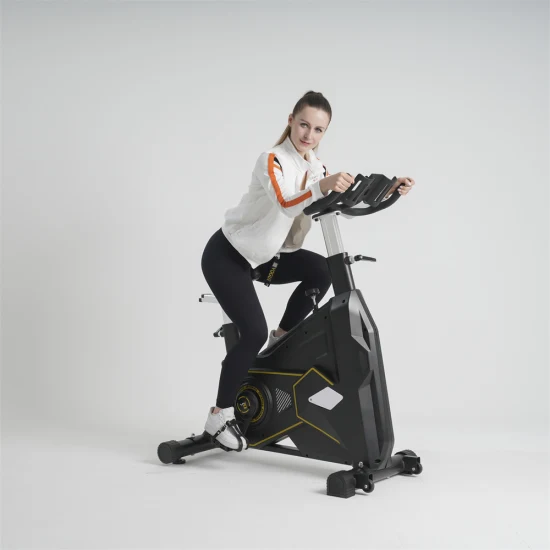 New Indoor Exercise Spin Bike Stationary Bicycle Cardio Fitness Cycling Magnetic Exercise Bikes