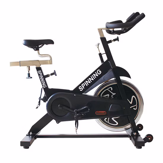 Hot Sale Magnetic Spin Bike