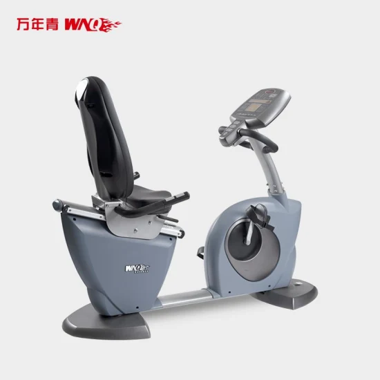 Commercial Recumbent Bike Cardio Exercise Trainer Home Fitness Stepper